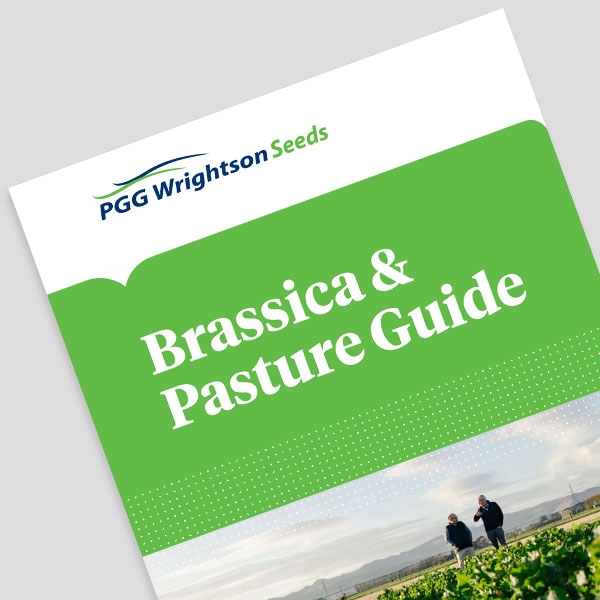 BRASSICA AND PASTURE GUIDE